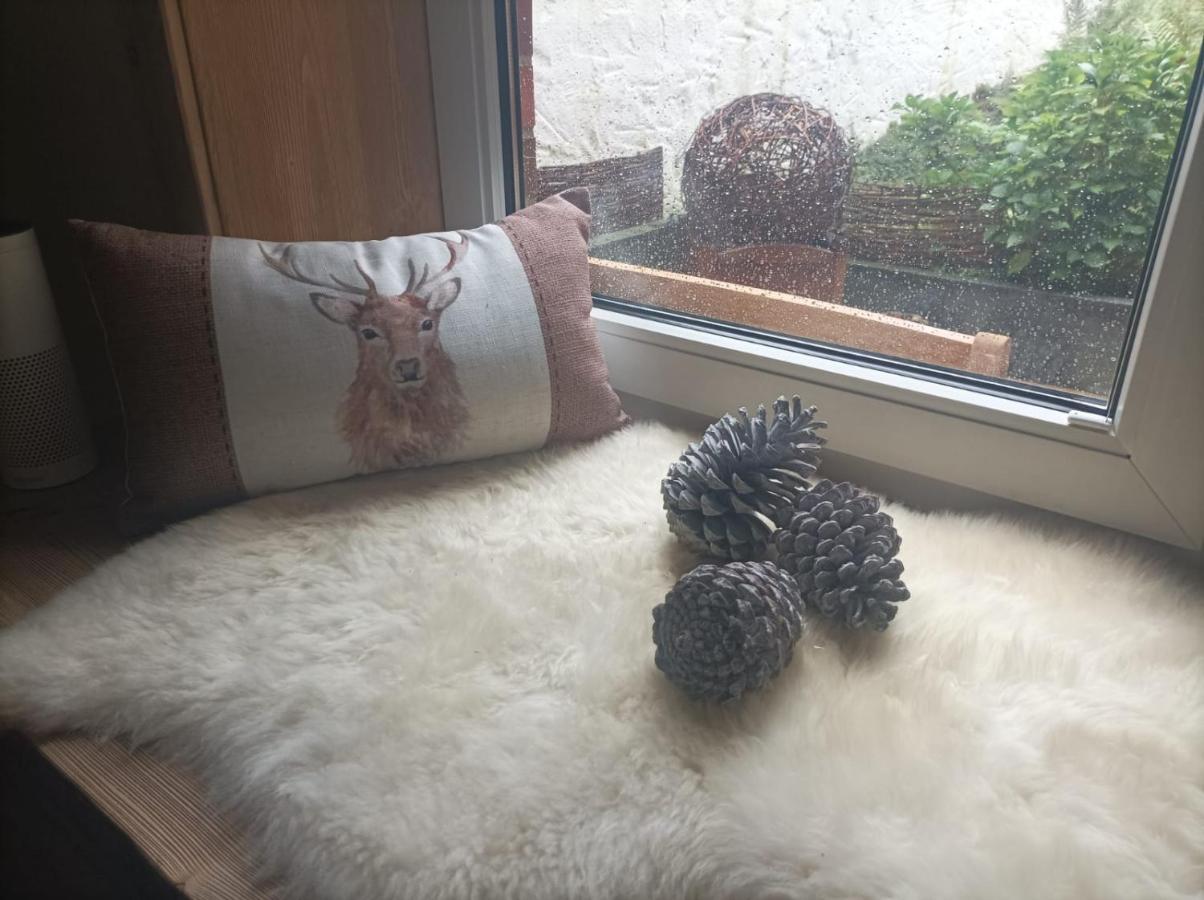 Harzglanz Fewo'S Kuschelbude Braunlage Extérieur photo